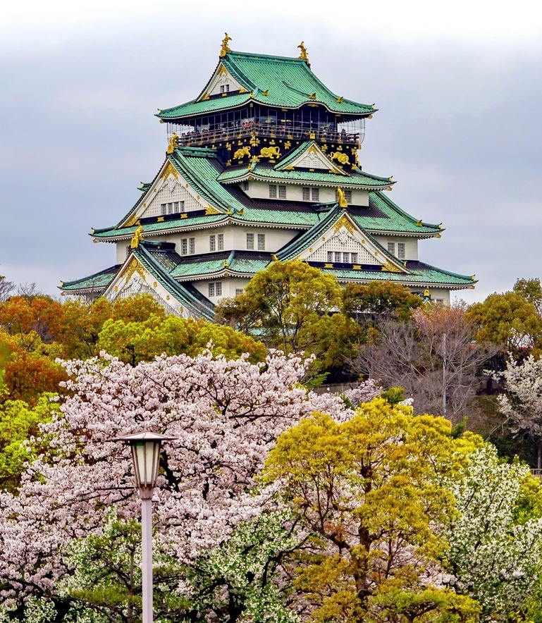 Photo Voyage Zénifiant au Hanami Japonais2