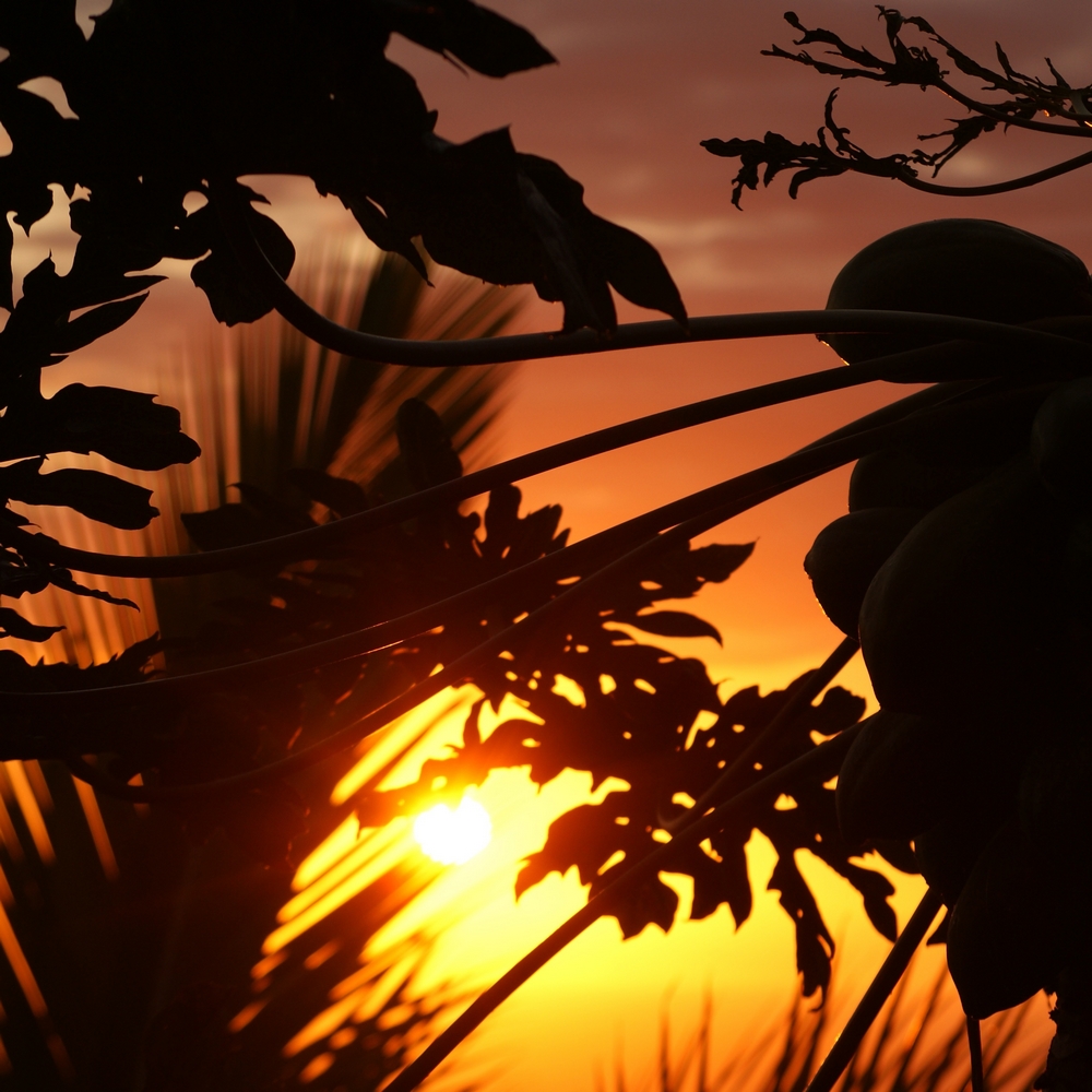 Photo Voyage à l'Ile de la Réunion